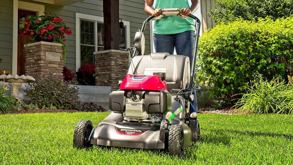 Front view of person mowing lawn.