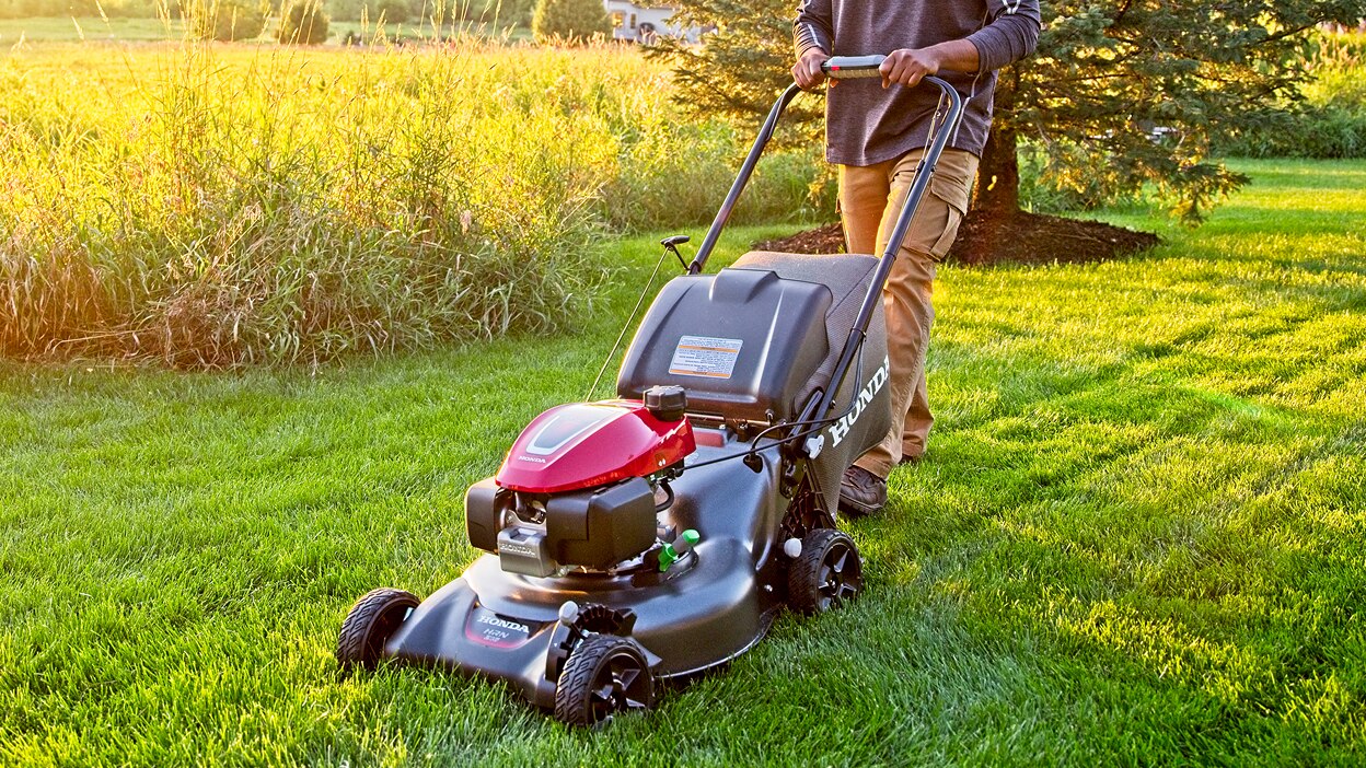 Person mowing lawn going left. Tree and tall grass in background.