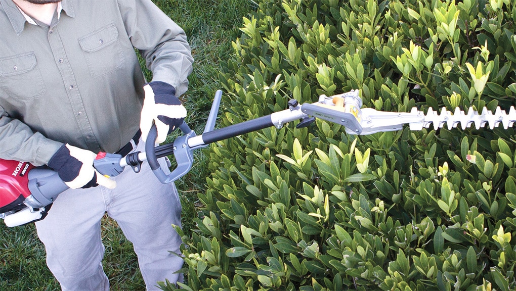 Image d’un homme utilisant l’appareil portatif pour couper des buissons